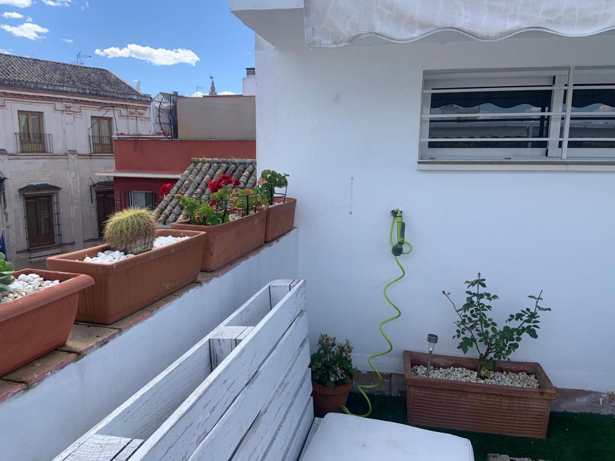 Lr2 Private Terrace & Parking Right In The City Center Sevilla Bagian luar foto
